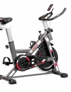 BICICLETA DE SPINNING RANDERS 874 CON MONITOR Novedad 2022 